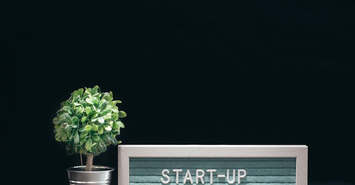 Od pomysłu do pierwszej faktury: mapa drogowa rozwoju startupu